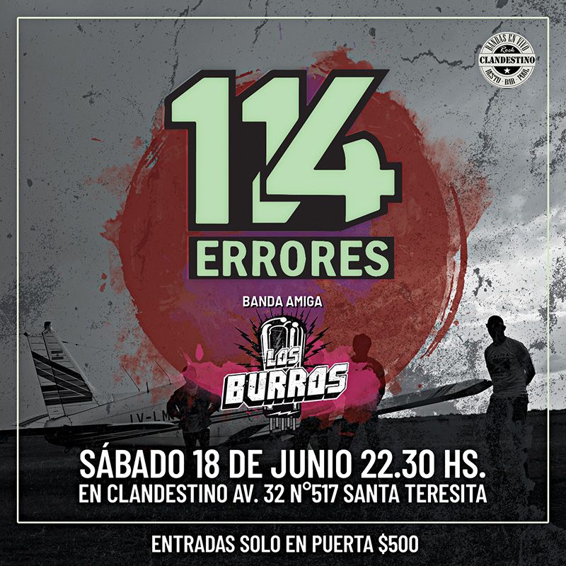 114_errores